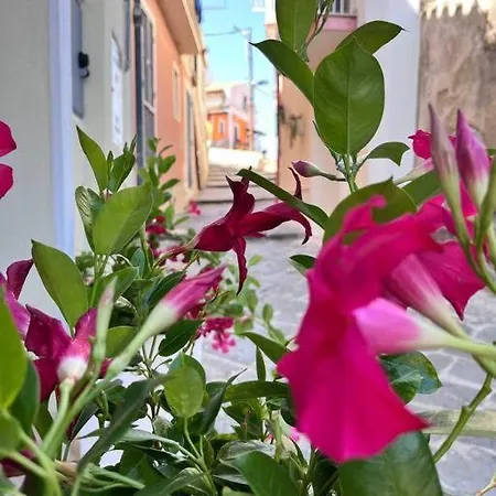 Casa 'da Annunziata' Few Steps From The Sea Lejlighed *