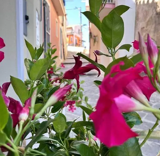 Casa 'da Annunziata' Few Steps From The Sea 公寓 *